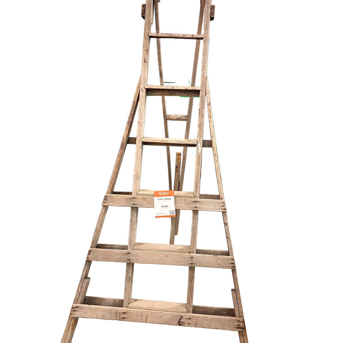 PLANT LADDER