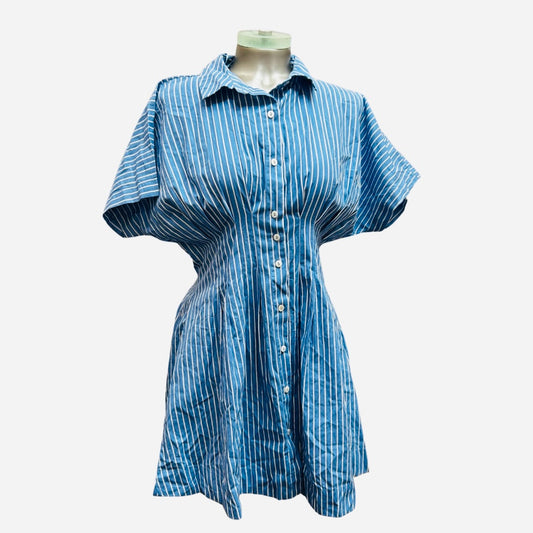 Blue/White Striped Button Down Shirt Dress - Small