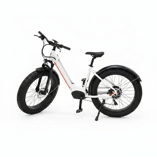 ELECTRIC BIKE