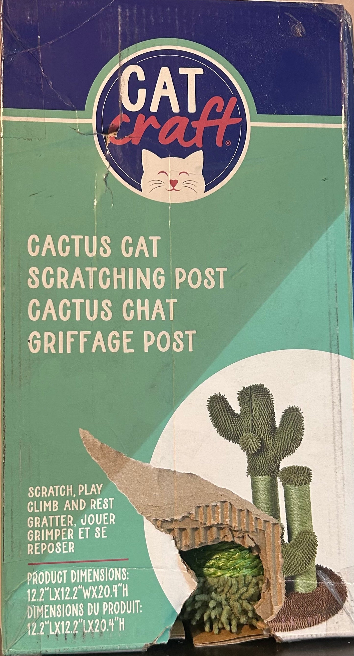 CACTUS CAT SCRATCHING POST