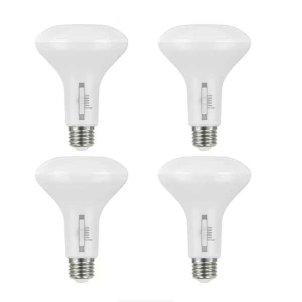 EcoSmart LED BR30 Flood Light - 4 pack