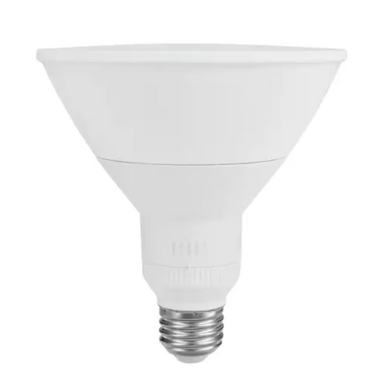 EcoSmart LED PAR38 Flood Light