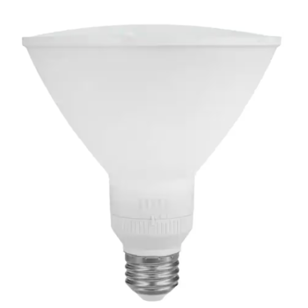 EcoSmart LED PAR38 Dusk to Dawn Flood Light