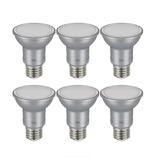 EcoSmart LED PAR20 Adjustable Beam Light Bulbs - 6 pack