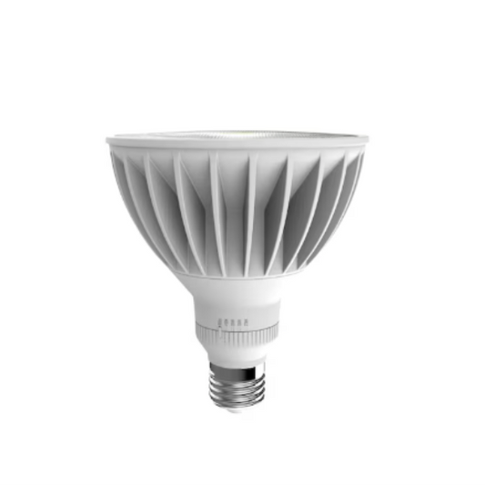 EcoSmart LED PAR38 High Output Flood Light