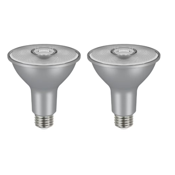 EcoSmart LED PAR30 Flood Light Bulbs - 2 pack