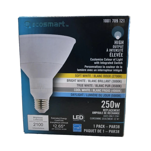 EcoSmart LED PAR38 Flood Light