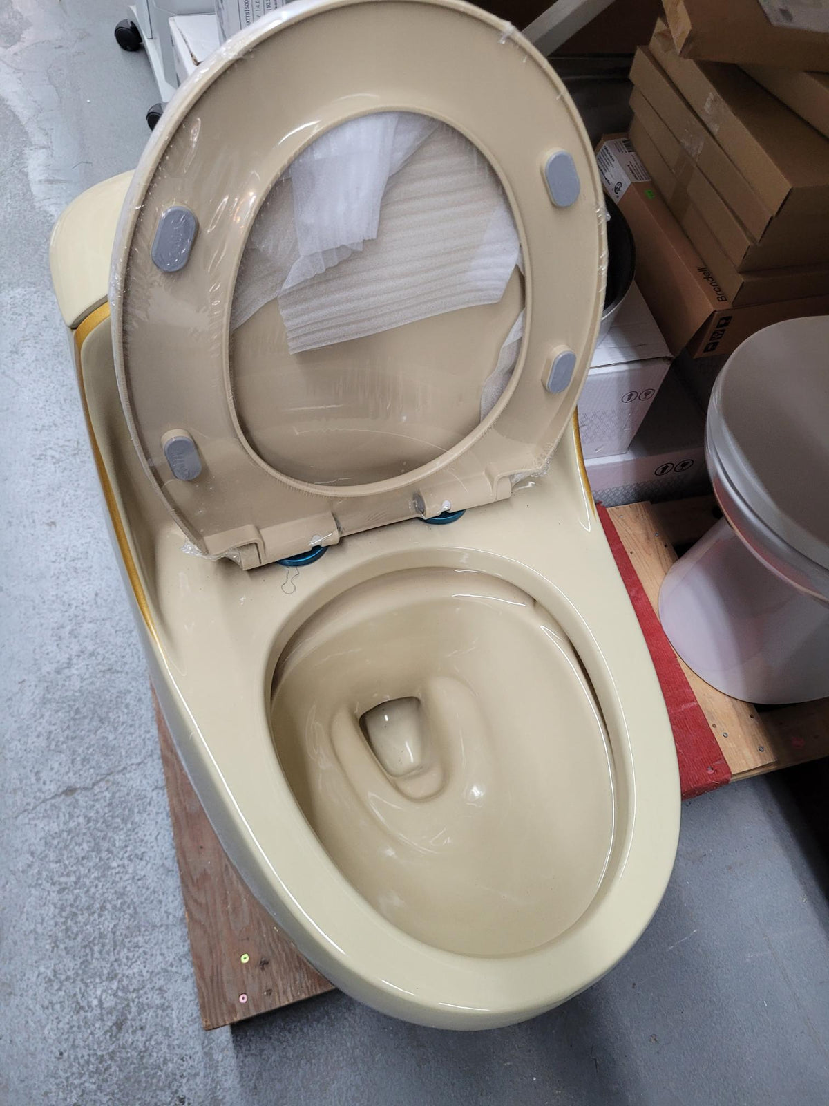 Biscuit 1-Piece Round Toilet – 1.6 GPF with Soft-Close Seat