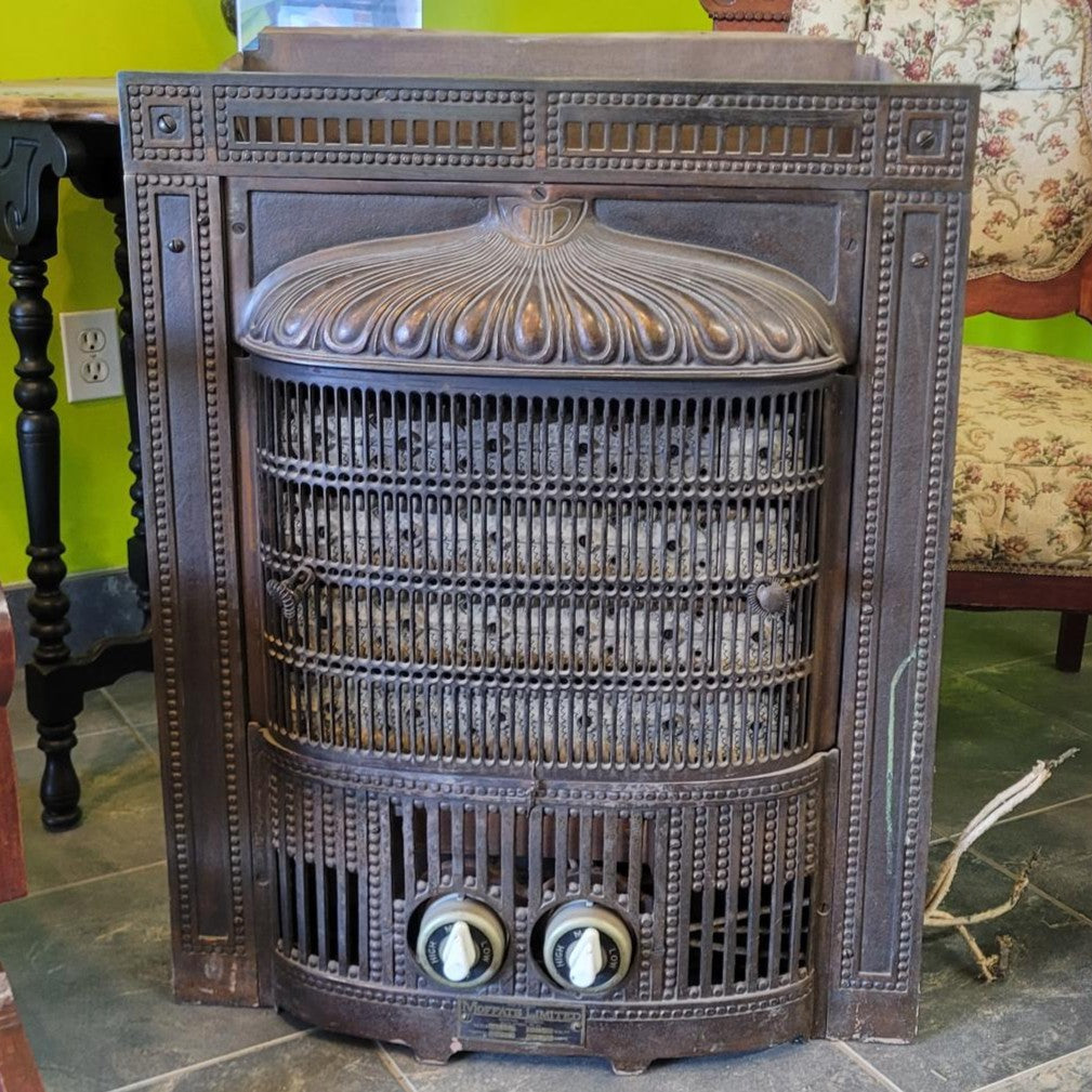Ornate Cast Iron Fireplace Insert