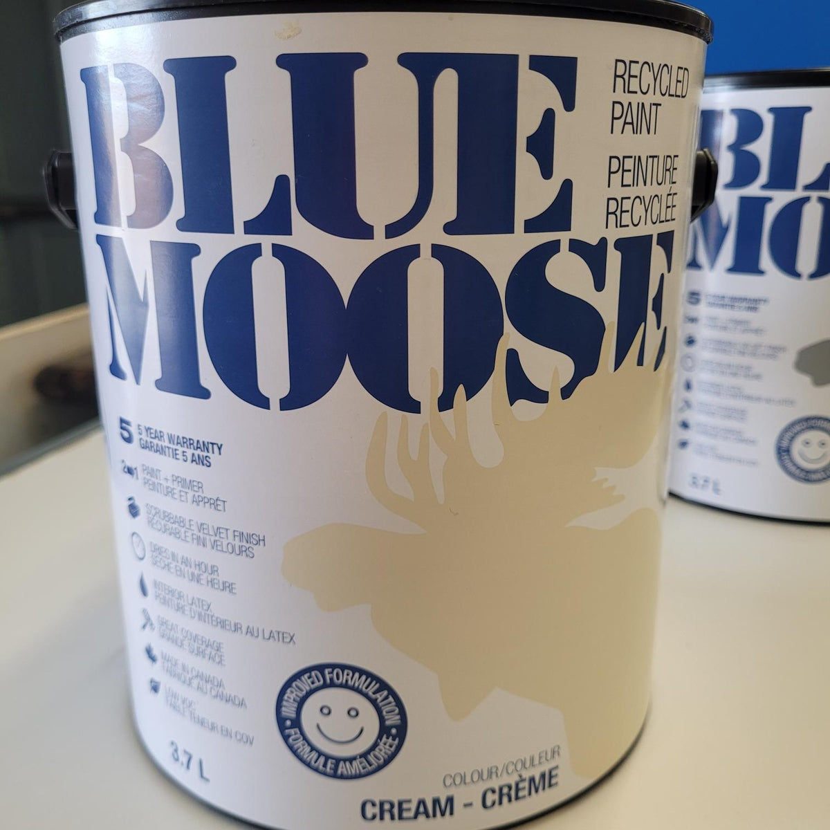 Blue Moose Recycled Paint