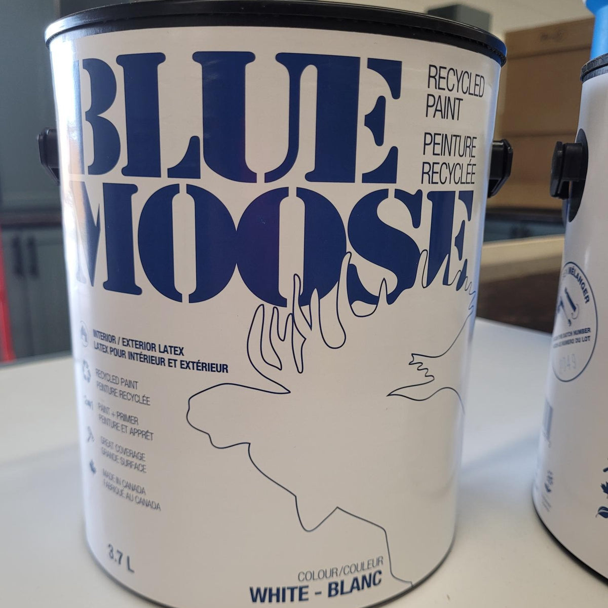 Blue Moose Recycled Paint