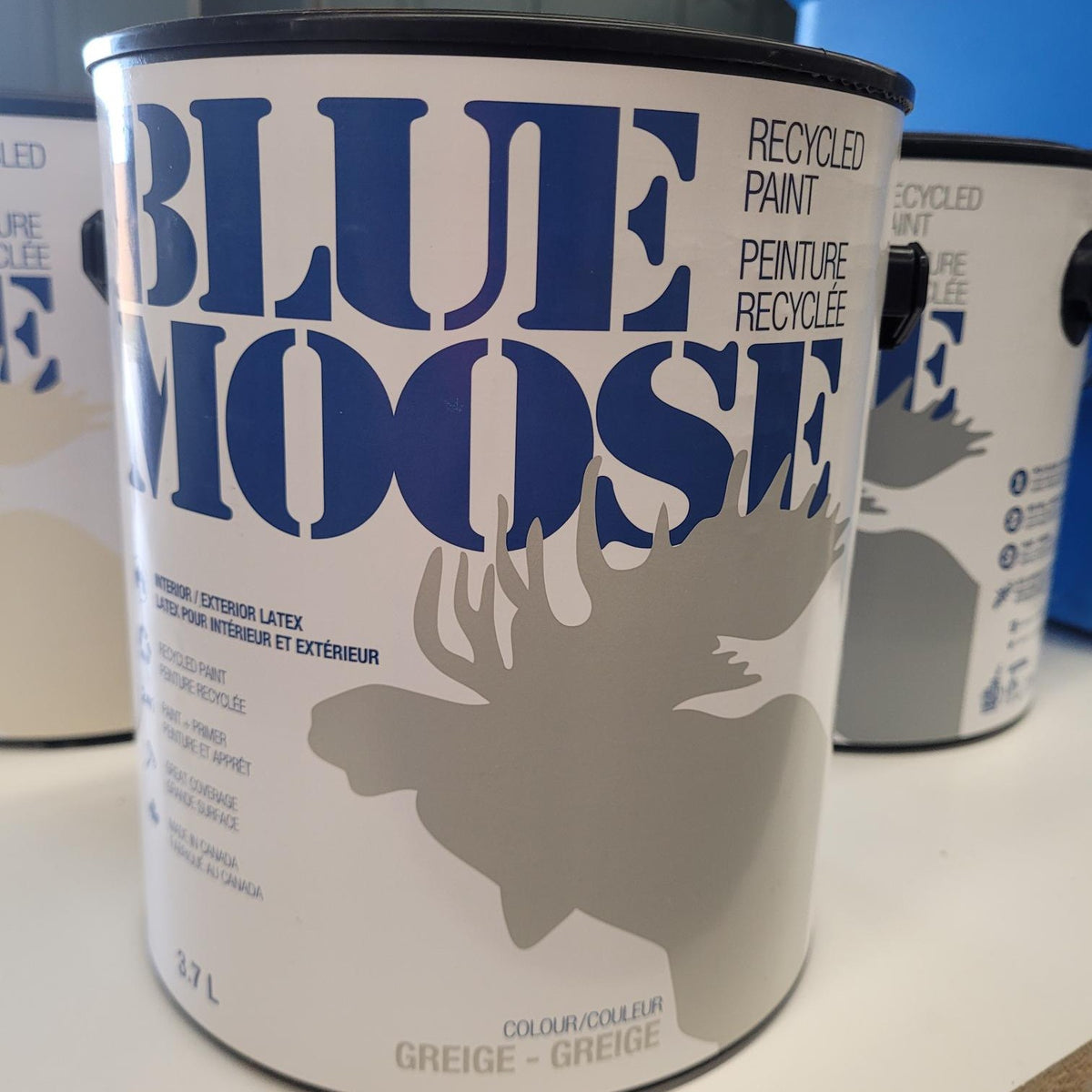 Blue Moose Recycled Paint